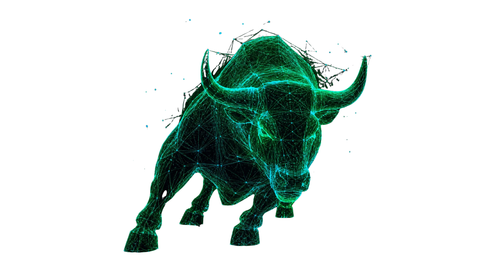 Bull Market Hologram